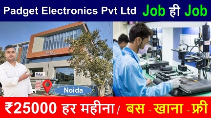 Padget Electronics Pvt Ltd company job new vacancy