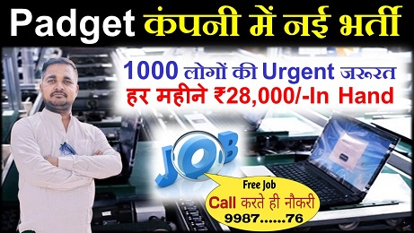 Padget company new vacancy 2025