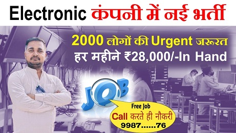 Electronic company new vacancy 2025