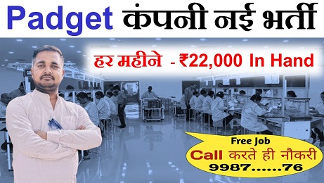 Padget company new vacancy 2025