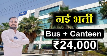 Padget company new job vacancy 2025