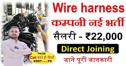 Wire harness job vacancy 2025