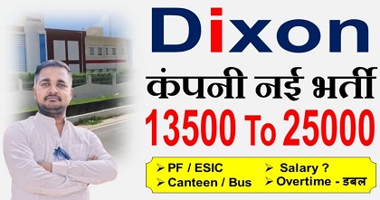 Dixon company job vacancy 2025